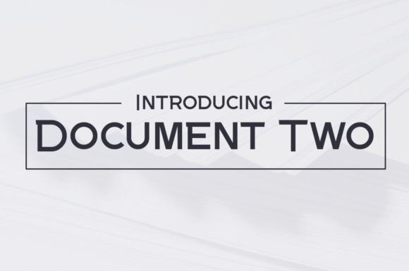 Document Two: A Comprehensive Guide for Modern Professionals